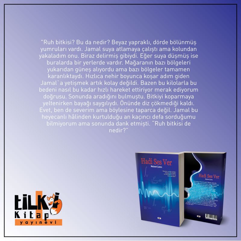 Hadi Ses Ver