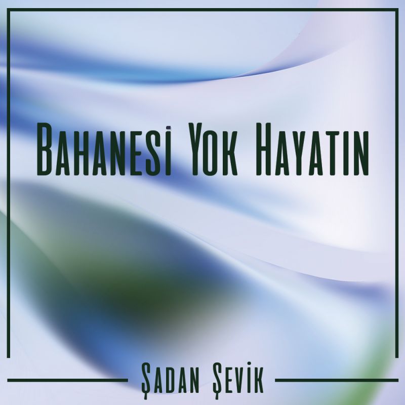 Bahanesi Yok Hayatın