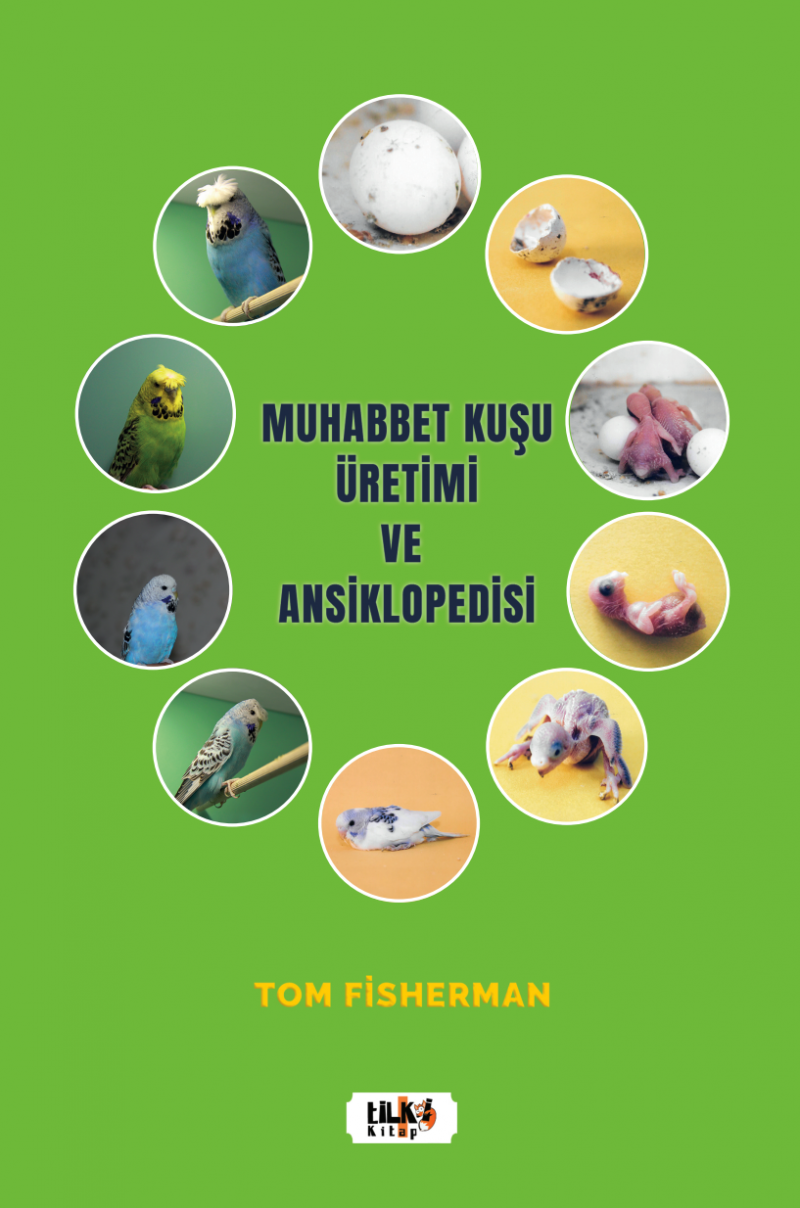 Tom FİSHERMAN - Muhabbet Kuşu Üretimi ve Ansiklopedisi