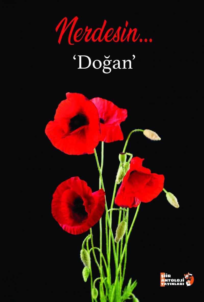 Doğan - Nerdesin...